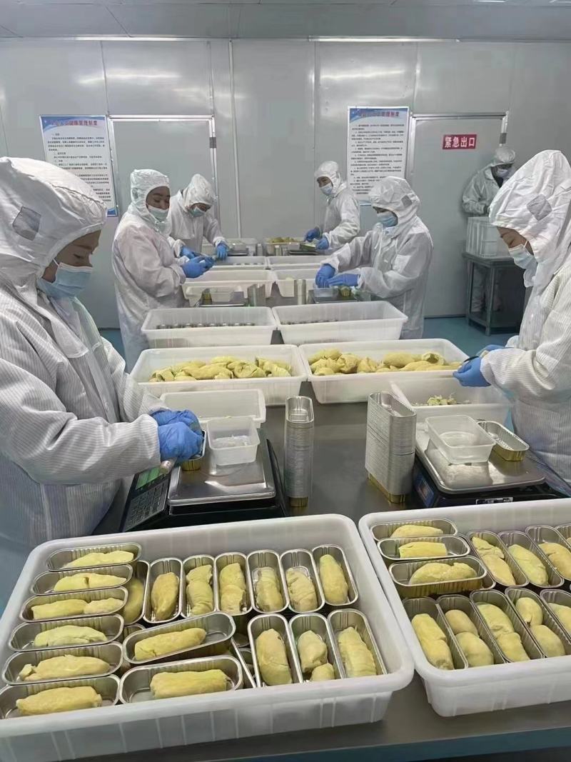 A级金枕榴莲肉烤榴莲肉口感细腻，好吃，价格优惠欢迎