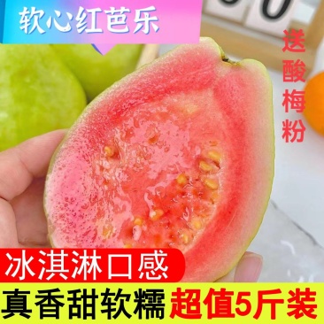 福建产地直发红心软香芭乐番石榴3/5斤装精品礼盒