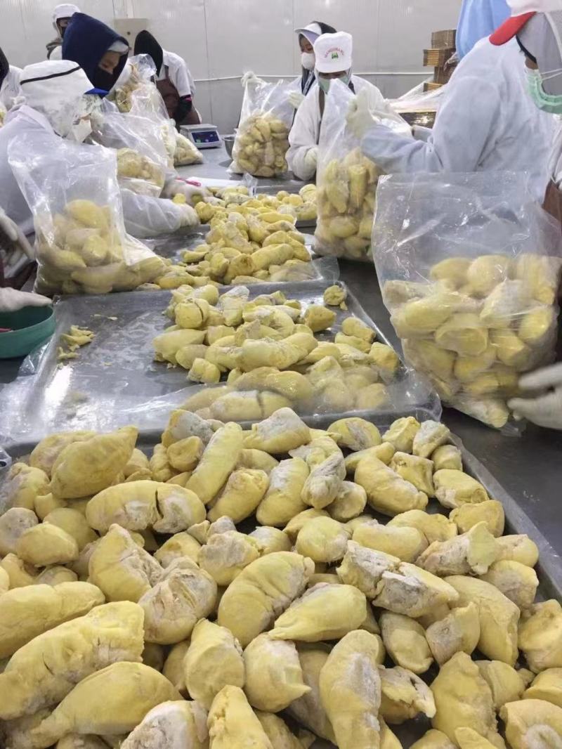 A级金枕榴莲肉烤榴莲肉口感细腻，好吃，价格优惠欢迎