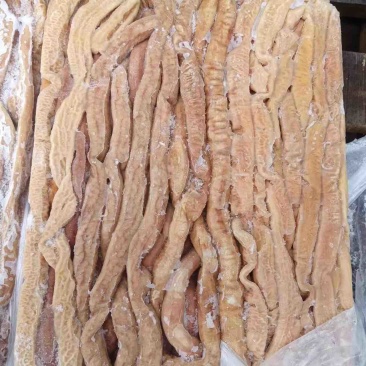 熟小肠