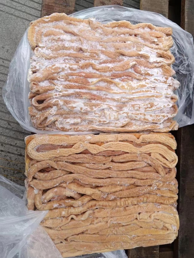 熟小肠