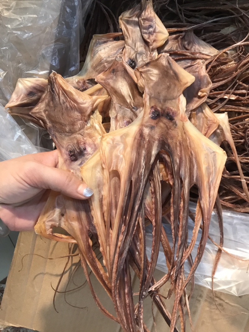 大章鱼干高品质淡干穿竹大章鱼干批发零售干度足