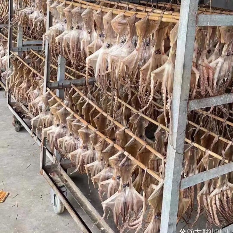 大章鱼干高品质淡干穿竹大章鱼干批发零售干度足