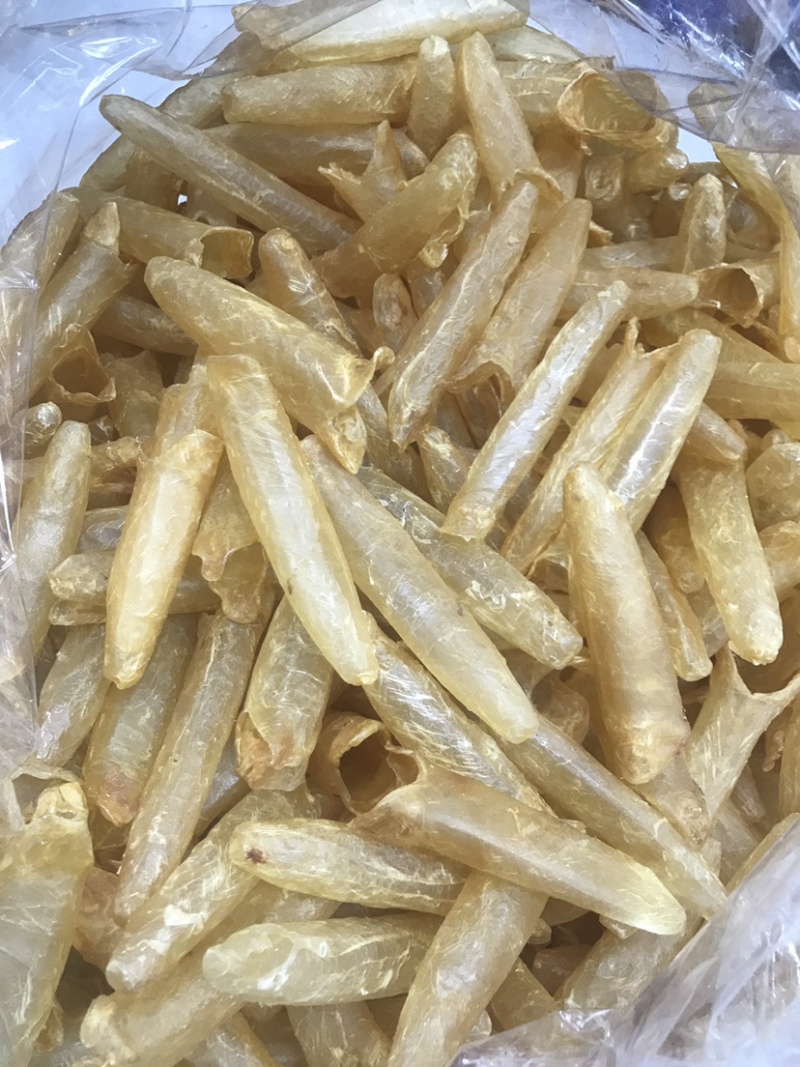黄花胶筒A货送礼佳品