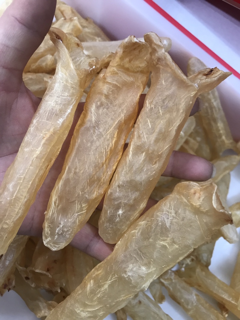 黄花胶筒A货送礼佳品