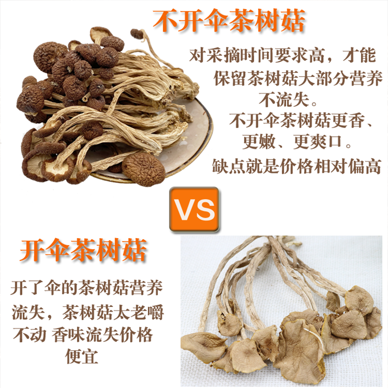 【茶树菇】无硫茶树菇5号不开伞茶树菇干度好不剪根更容易保