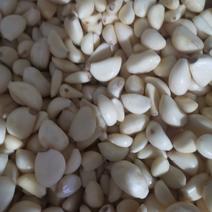金乡优质蒜米，保质保量，货发全国，欢迎咨询诚信经营