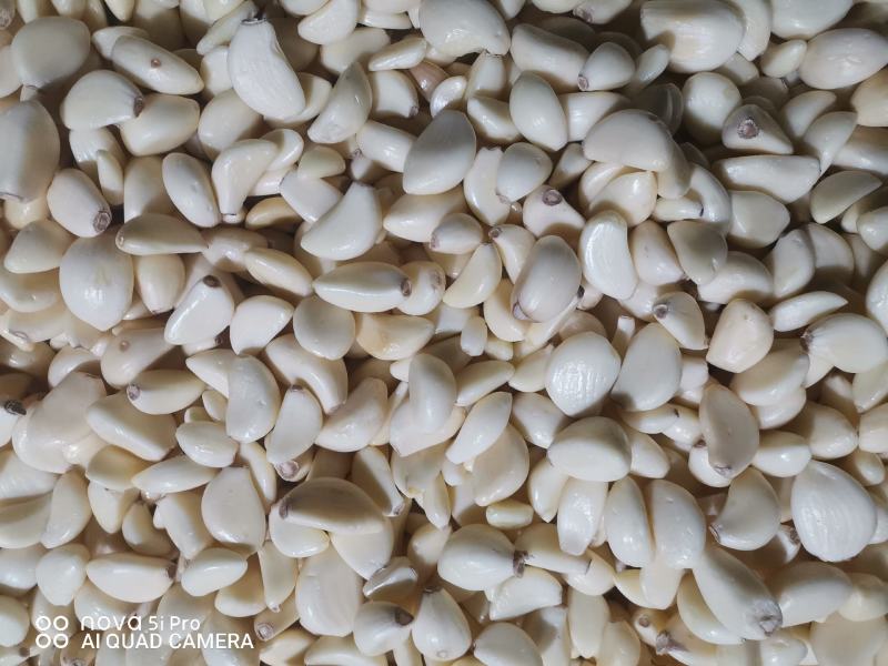 金乡优质蒜米，保质保量，货发全国，欢迎咨询诚信经营