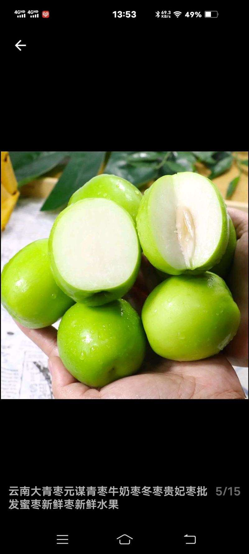 热带超甜青枣(牛奶枣)