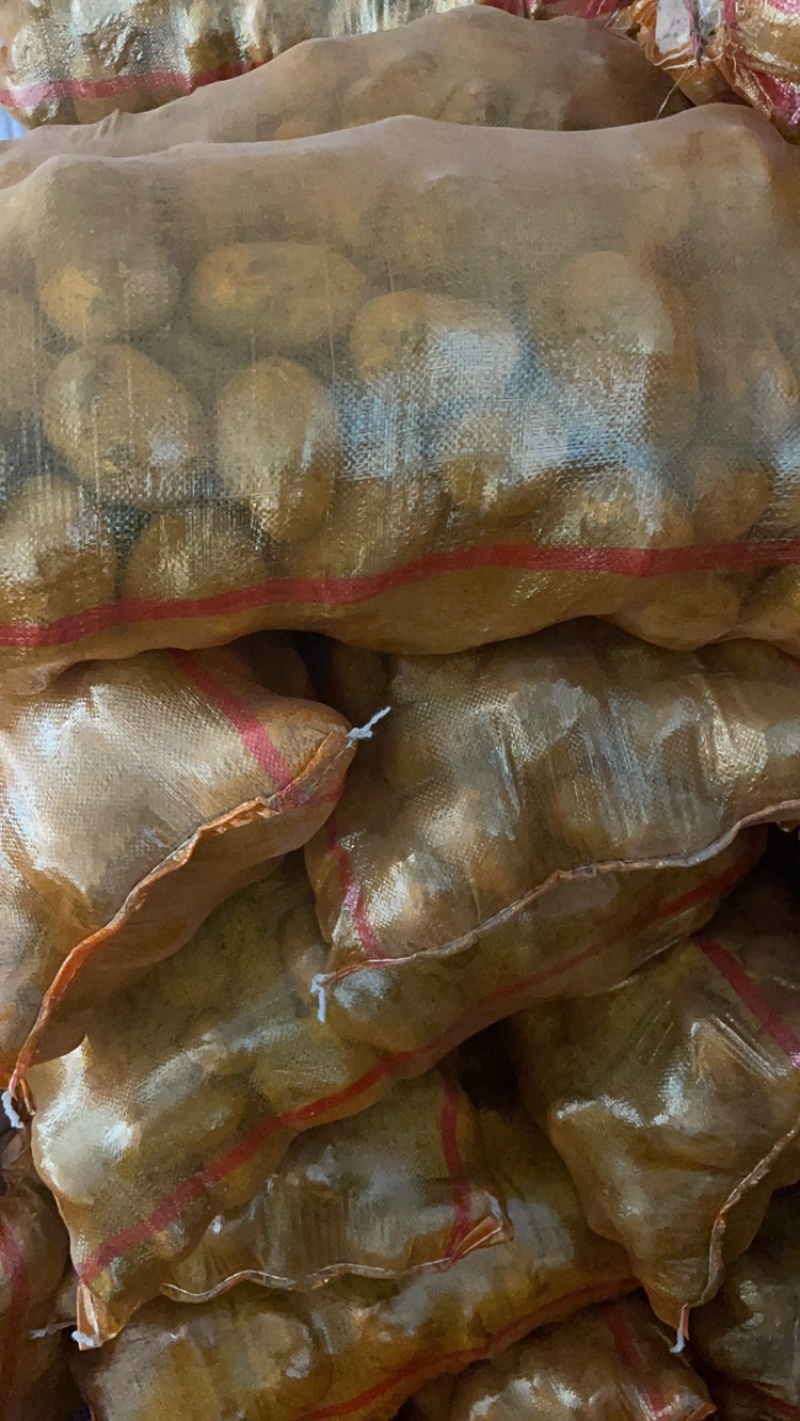 精品226土豆没有绿头虫眼白皮白肉