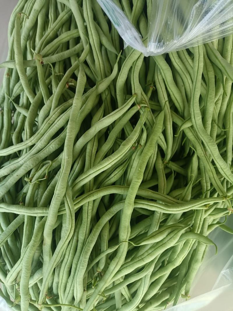 包菜，辣椒，无精豆南瓜