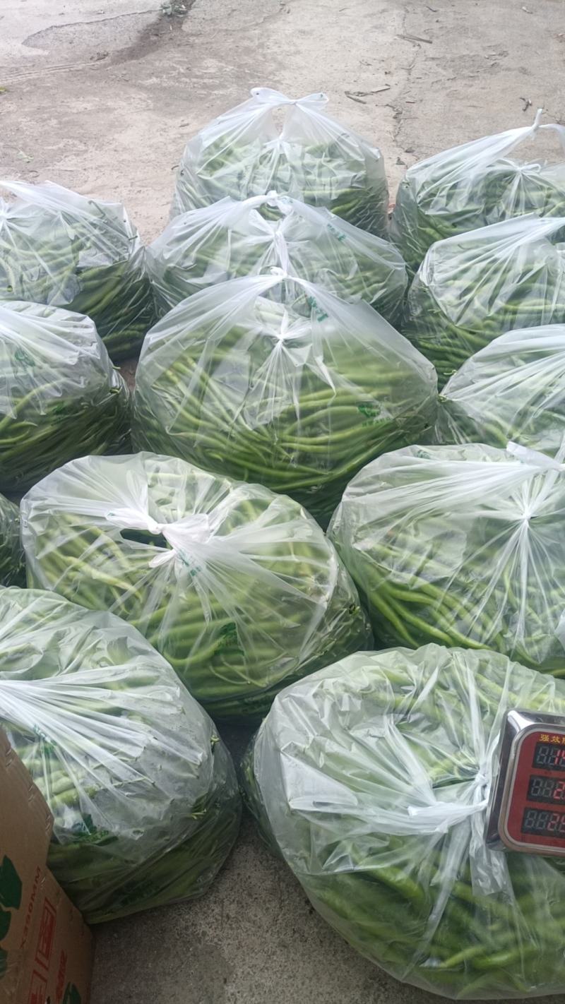 包菜，辣椒，无精豆南瓜