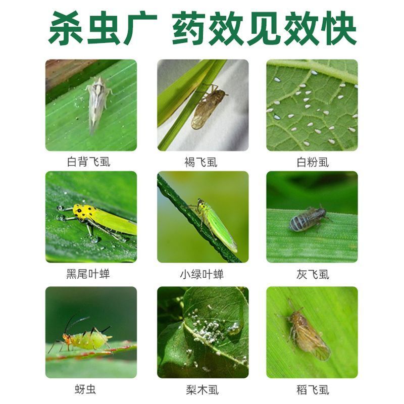 80%烯啶吡蚜酮杀虫剂农药水稻白粉虱蚜虫菜青虫正品灰飞虱