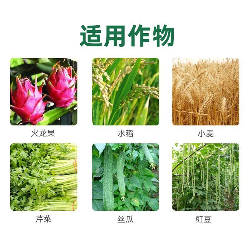 80%烯啶吡蚜酮杀虫剂农药水稻白粉虱蚜虫菜青虫正品灰飞虱