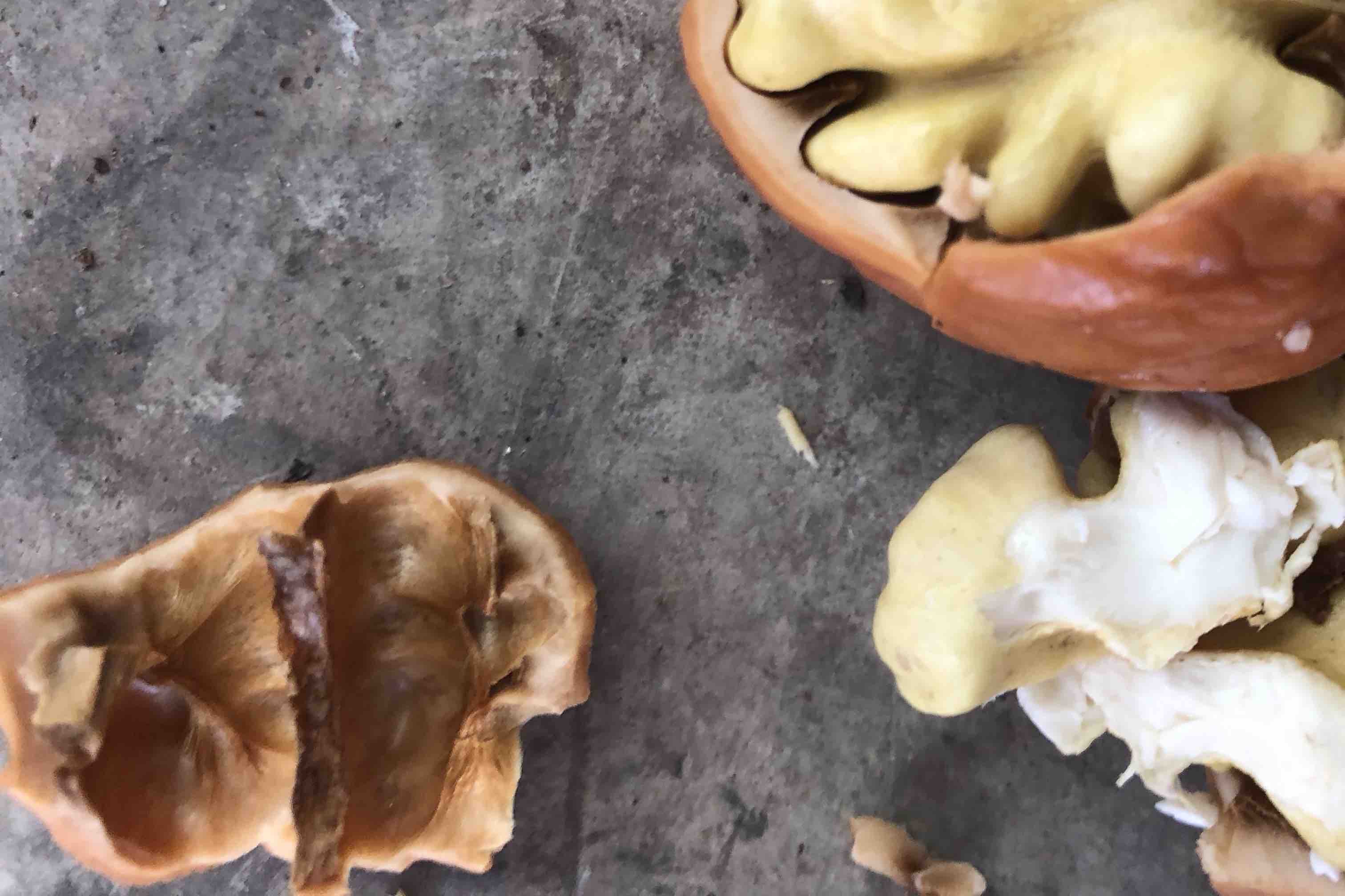 不同品种核桃对比图