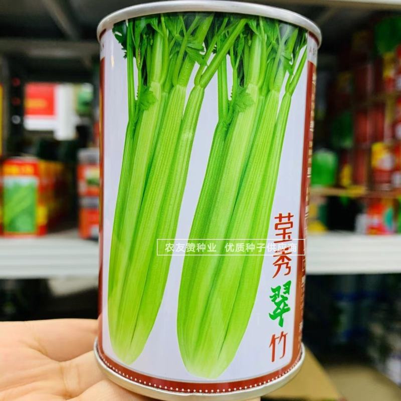 高品质芹菜种子莹秀翠竹西芹种子引进法国西芹品种根部小