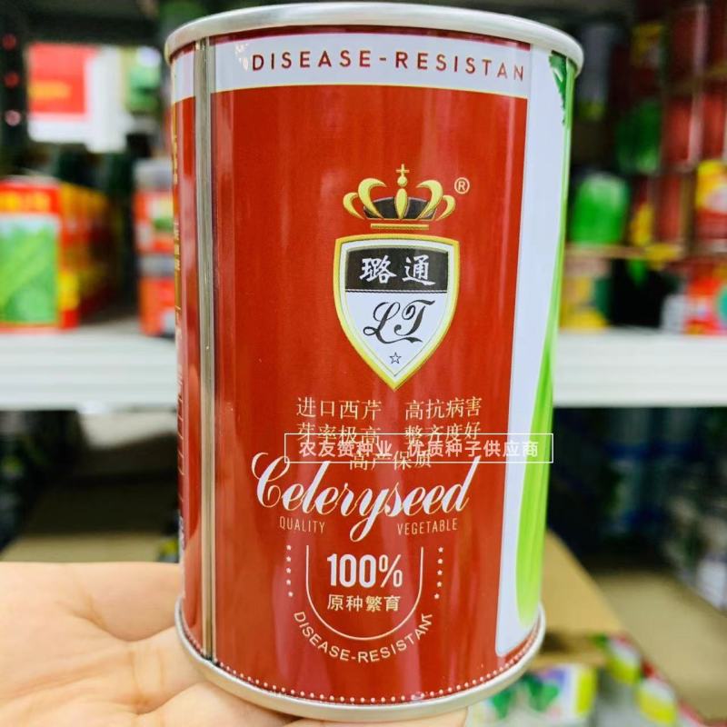 高品质芹菜种子莹秀翠竹西芹种子引进法国西芹品种根部小