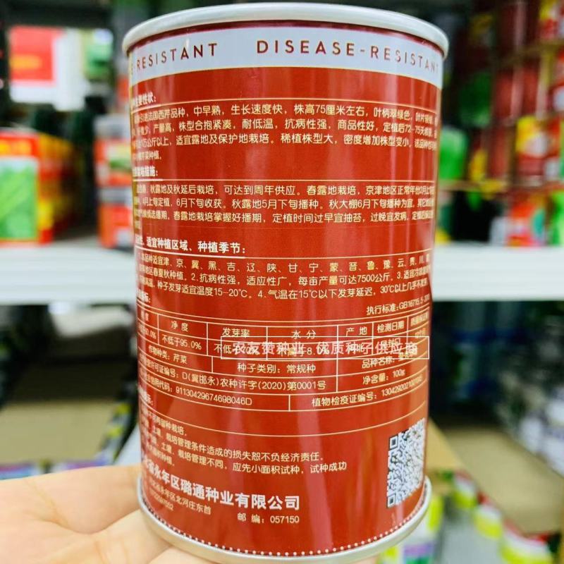 高品质芹菜种子莹秀翠竹西芹种子引进法国西芹品种根部小