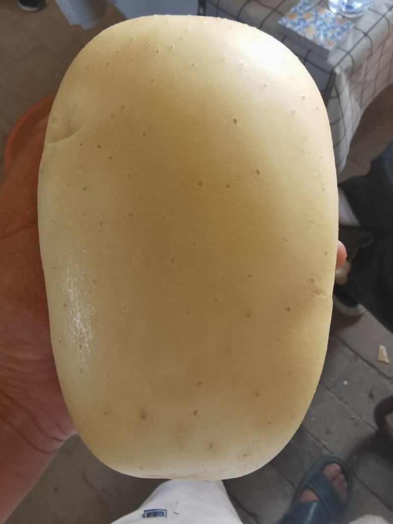 陕北土豆