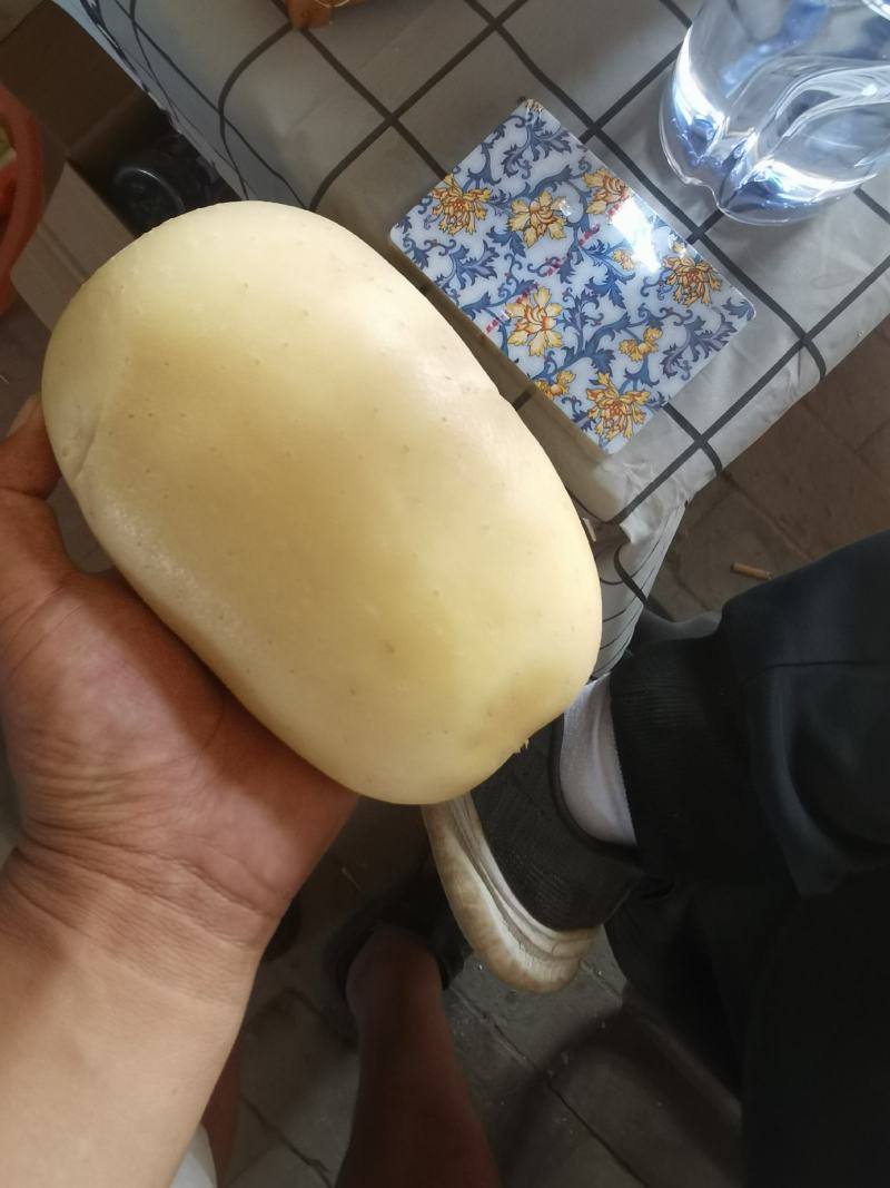 陕北土豆