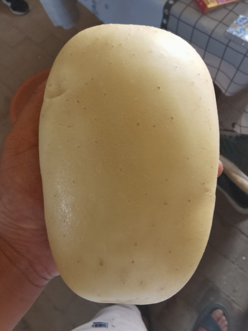 陕北土豆