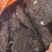 鸡粪