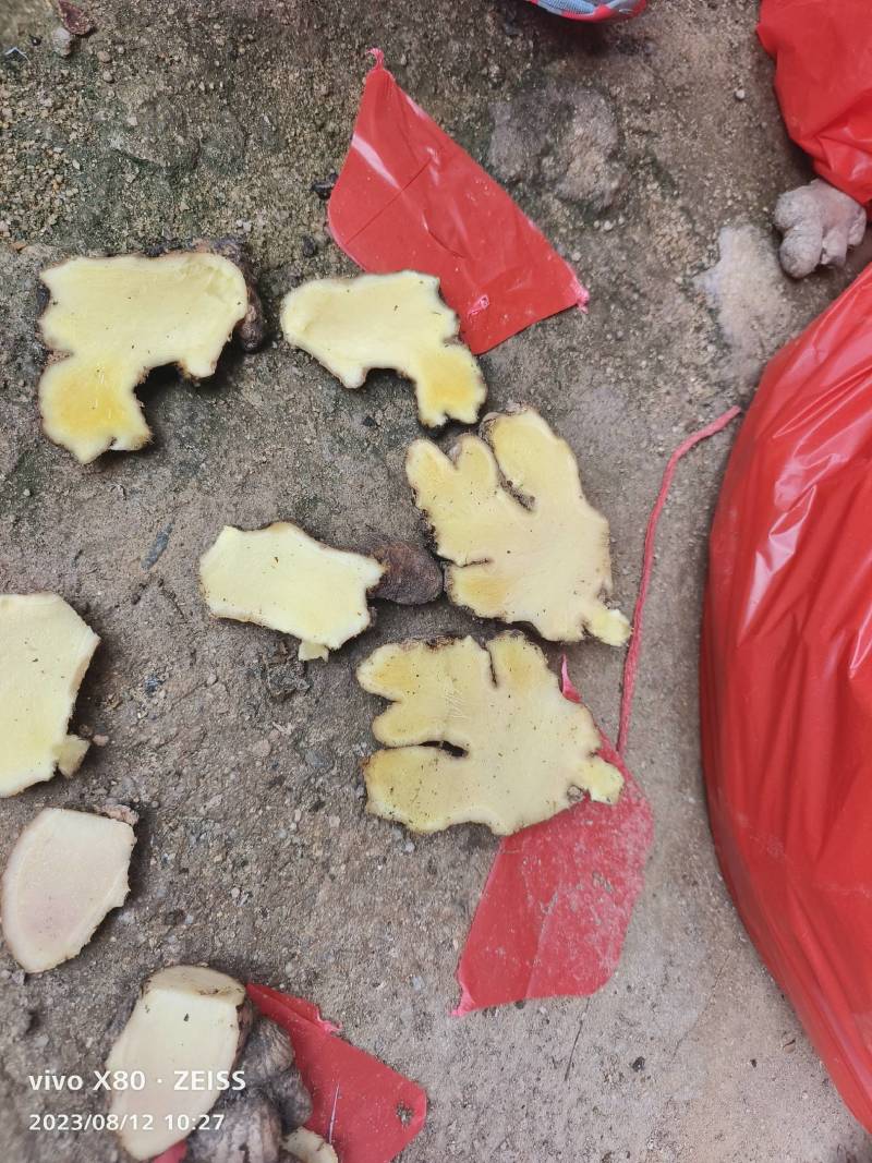 福建产区实力代办，老姜，二黄姜，小黄姜，，腌制各种生姜