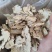当归片各种规格大量供应一件代发大量供应