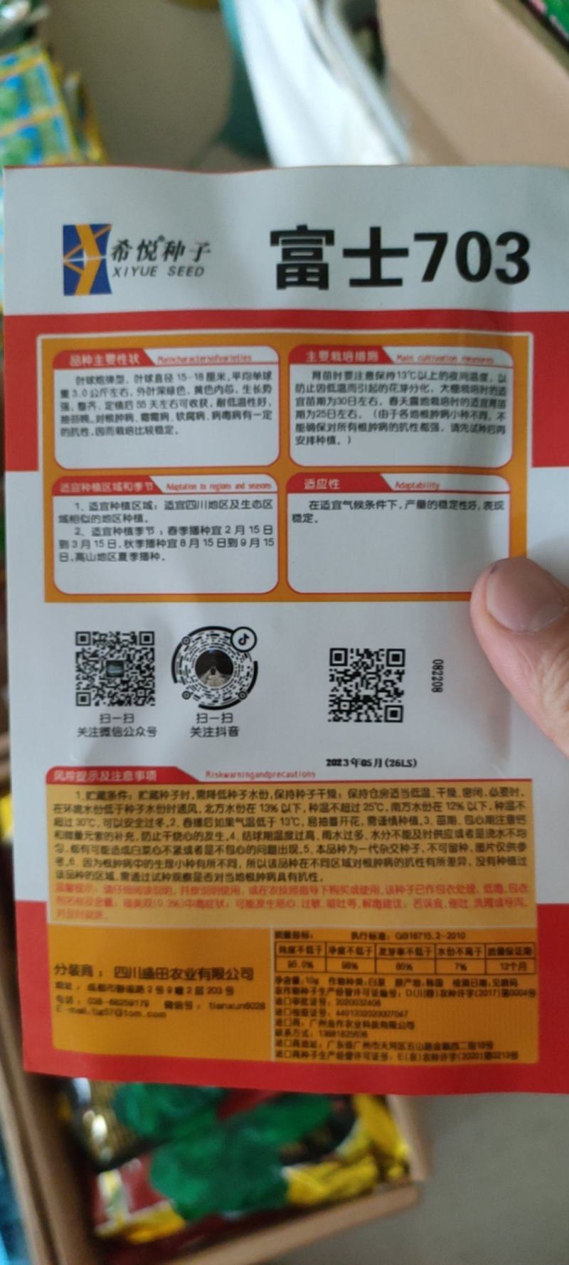 白心早熟白菜种子大白菜种子55天白菜种子健春白菜种子