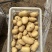 【推荐】内蒙土豆黄心土豆实验一号土豆品类齐全国发