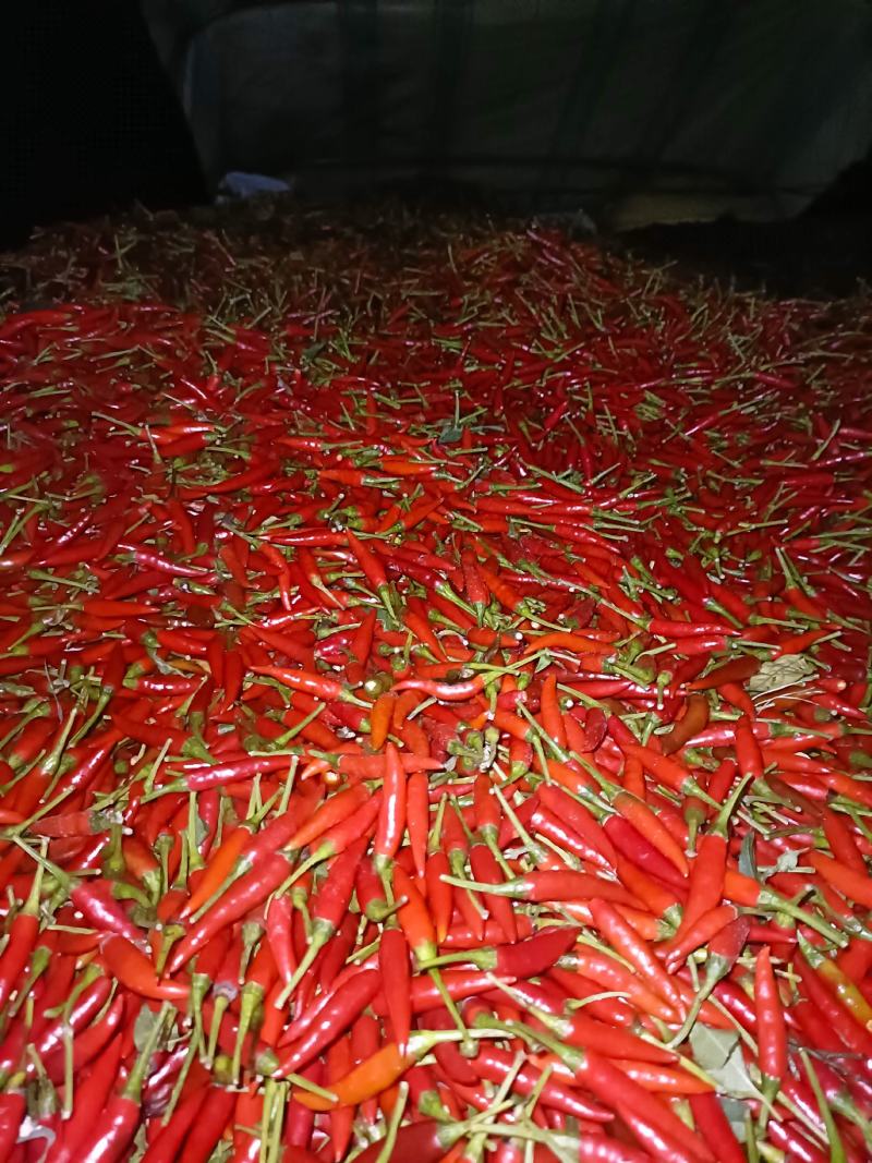 新52大量有货