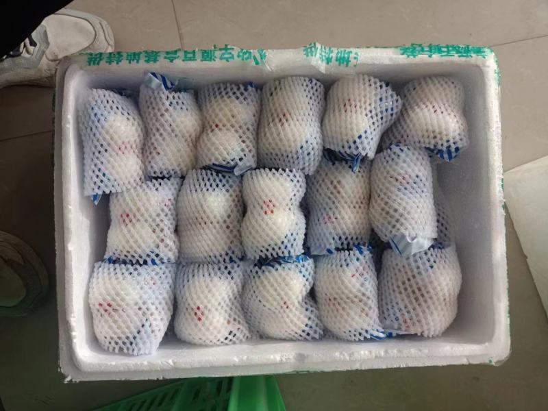 兰州百合豪华礼盒装基地直发品质保证欢迎联系