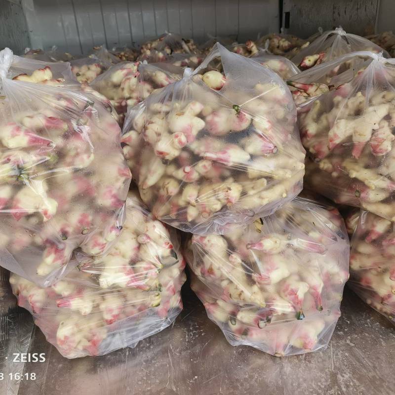 基地直发专业代办，生姜，子姜，电商超市