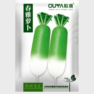 耐低温春萝卜种子肉色淡绿60天采收肉质细腻整齐一致杂交种