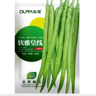 早熟长线椒种子软皮顺直杂交一代香辣味浓辣椒种子黄线椒