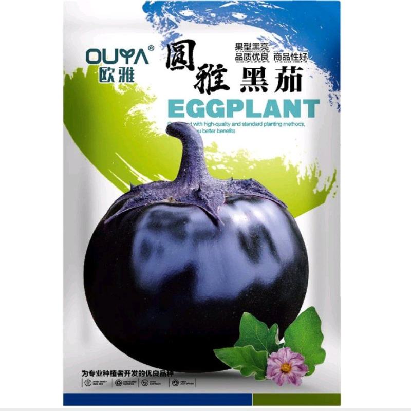 黑圆茄子种子早熟茄子种子果实正圆杂交大果皮黑适应性强蔬菜