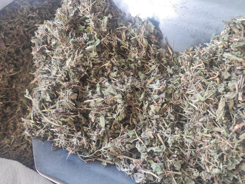 蛇莓干货量大从优干货无杂质欢迎选购！