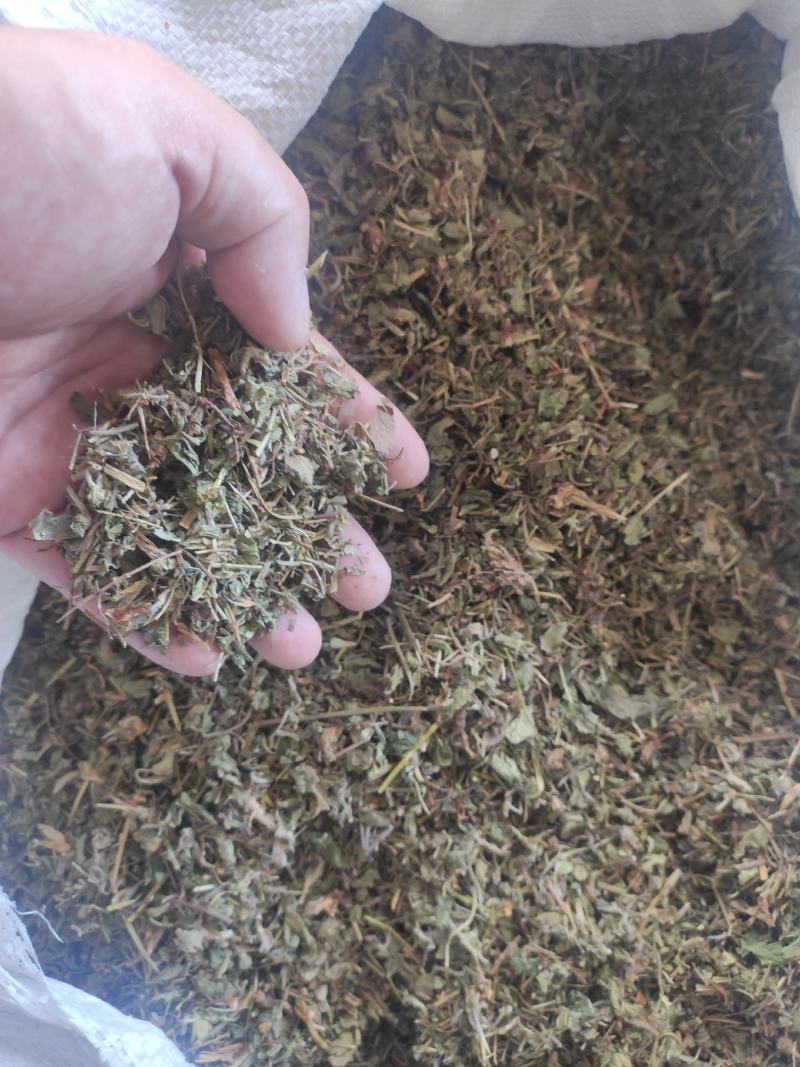蛇莓干货量大从优干货无杂质欢迎选购！