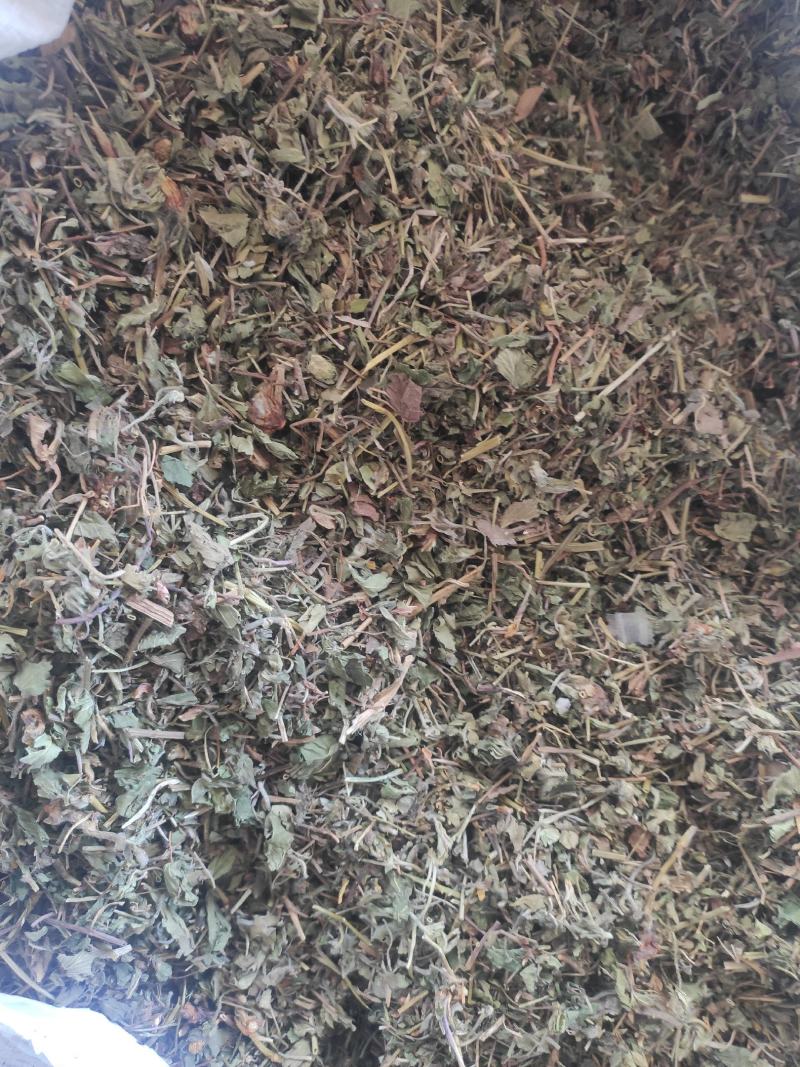 蛇莓干货量大从优干货无杂质欢迎选购！