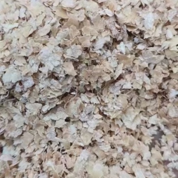 麸皮