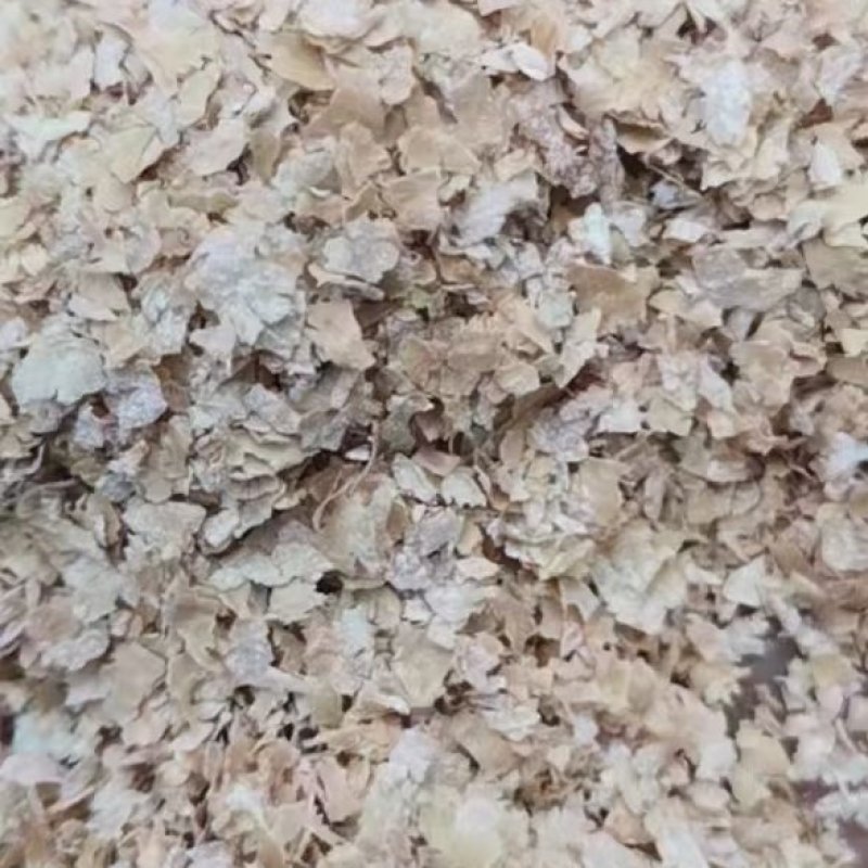 麸皮