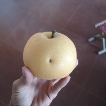 大量轻微冰雹伤果，秋月，新高