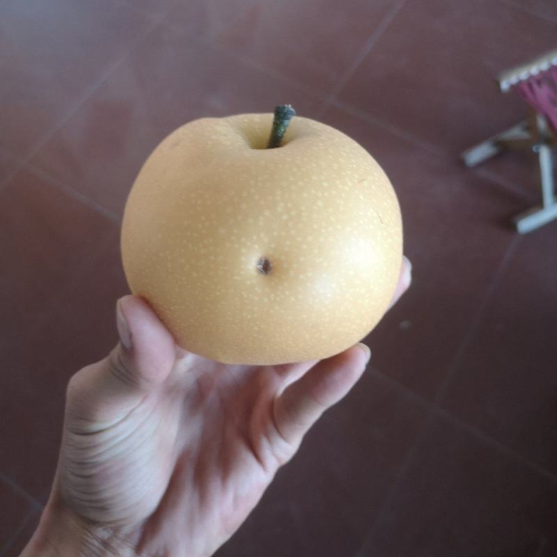 大量秋月梨冰轻微雹伤果，货源充足。