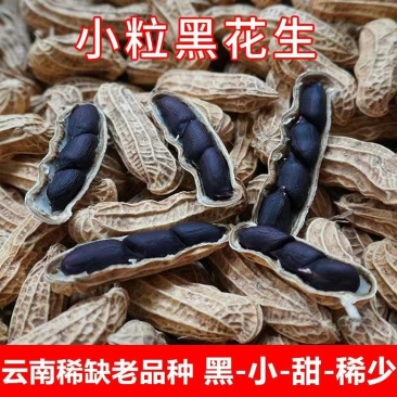 云南富硒黑花生