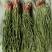 5斤特级无叶贡菜新鲜苔干苔菜农家干货土特产脱水