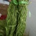 5斤特级无叶贡菜新鲜苔干苔菜农家干货土特产脱水