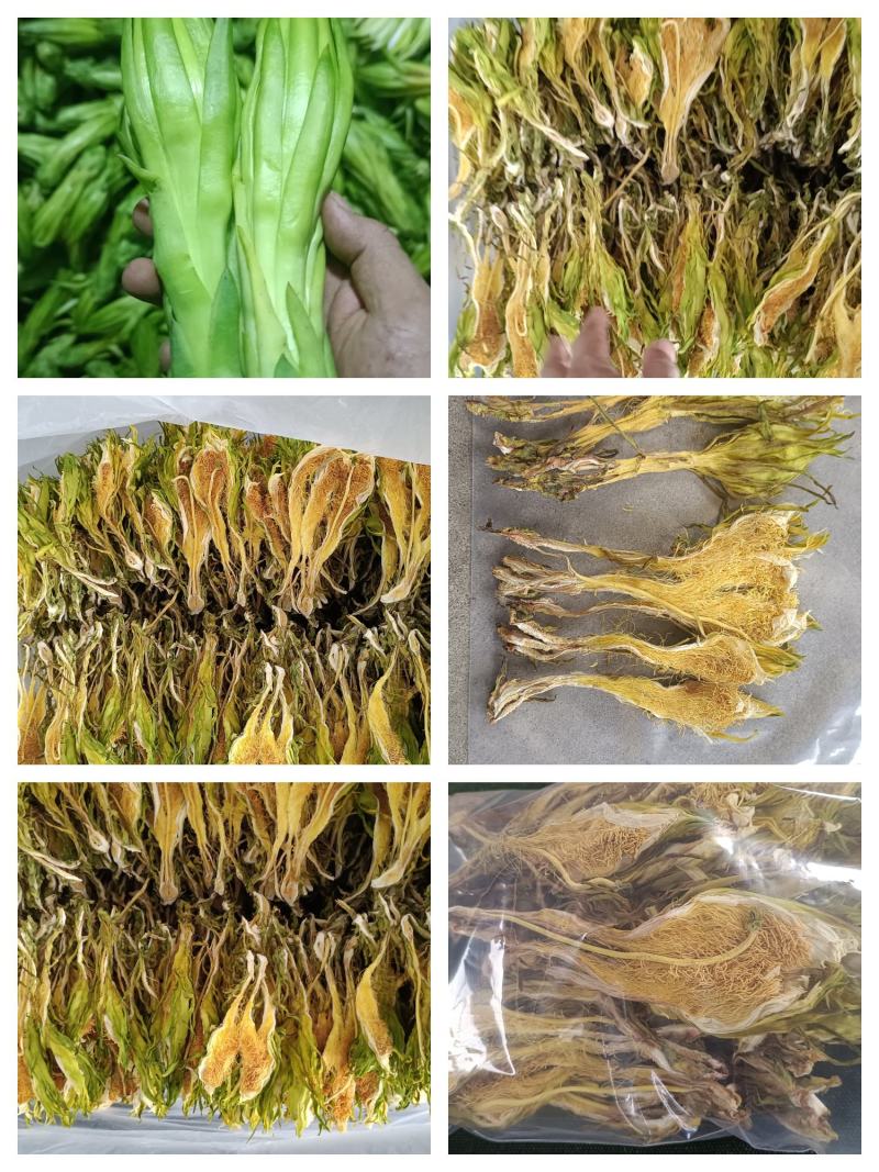 农家晾晒霸王花干