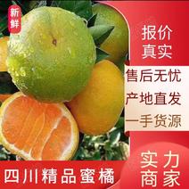 四川柑橘蜜橘一手货源产地直发全国发货欢迎致电
