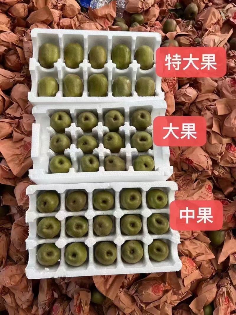 蒲江红心猕猴桃