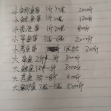 重庆鲫鱼质量保证基地批发价规格齐全现货直发对接全国